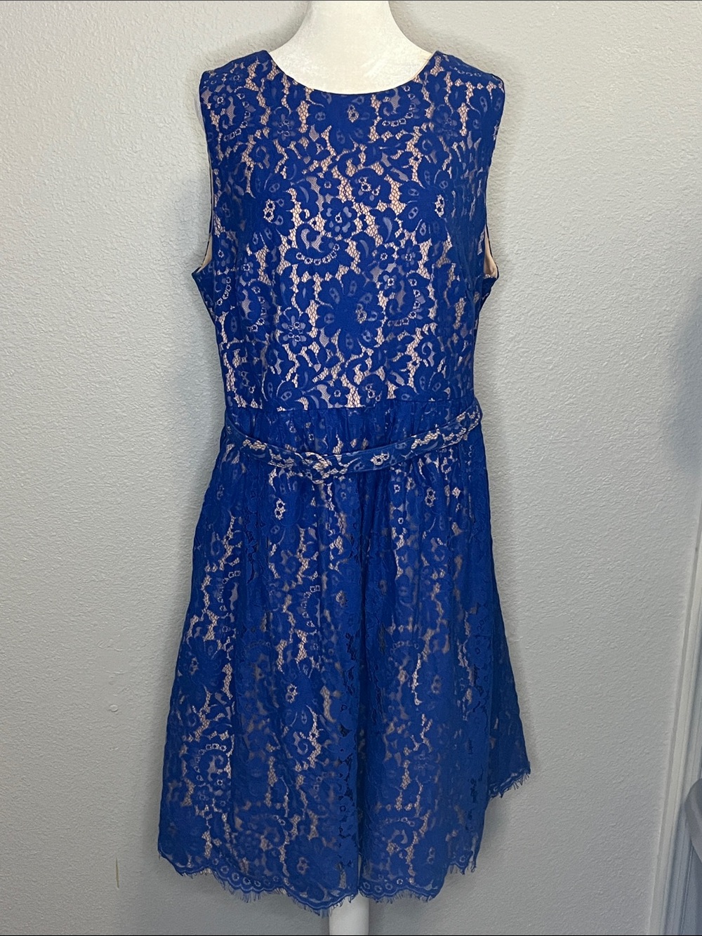 Eliza J Belted Lace Cocktail Dress Blue Size 14W